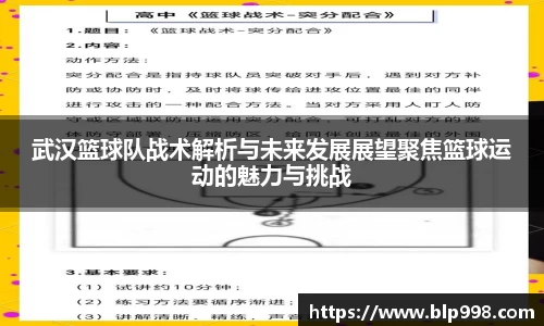 bsports官网入口