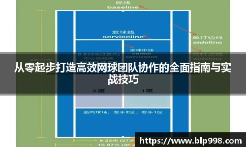 bsports登录入口