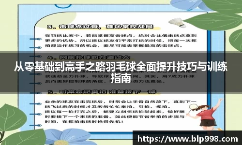 从零基础到高手之路羽毛球全面提升技巧与训练指南